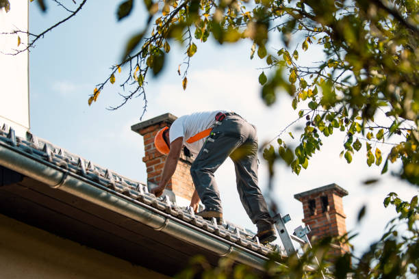 4 Ply Roofing in St Ignace, MI