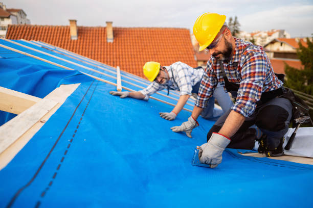 Steel Roofing in St Ignace, MI
