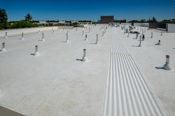 Roof Coating Services in St Ignace, MI